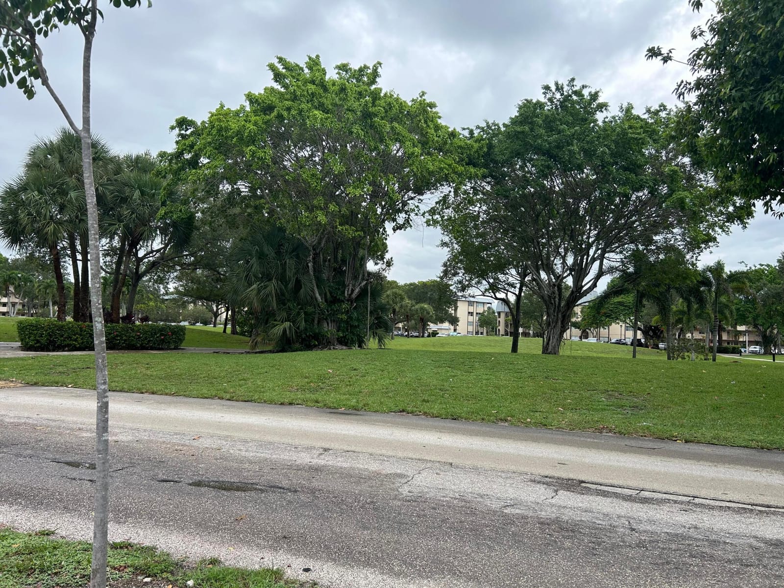 6100 S Falls Cir Drive 105, Lauderhill, FL 33319 photo 9