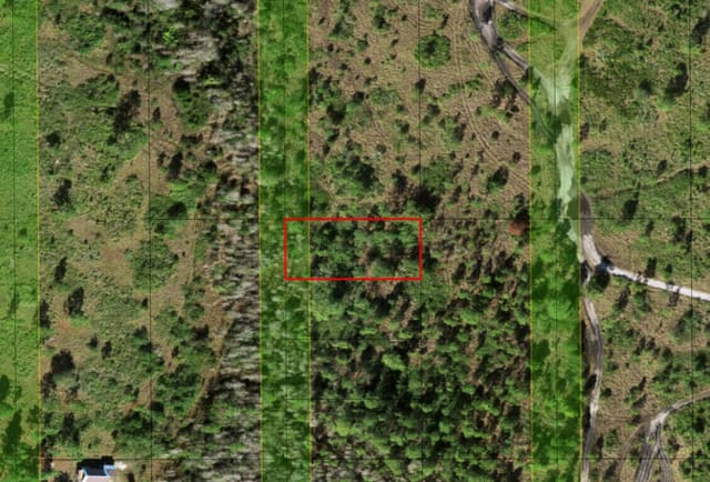 0 Holopaw Groves Road, St. Cloud, FL 34772
