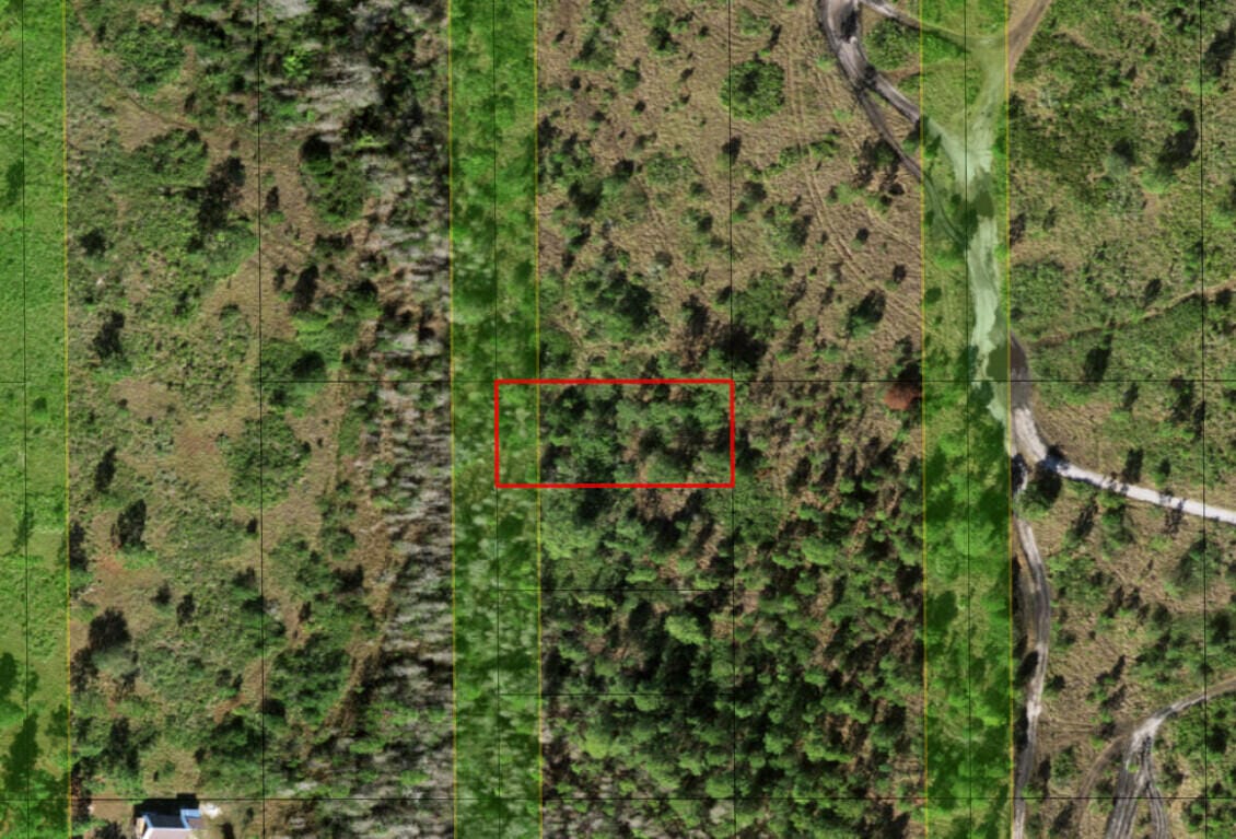 0 Holopaw Groves Road, St. Cloud, FL 34772