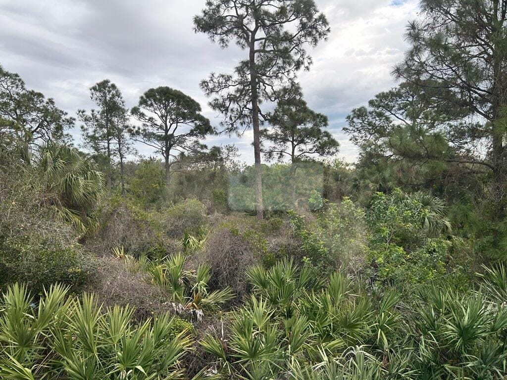 791 NE Trailside Run — photo 11