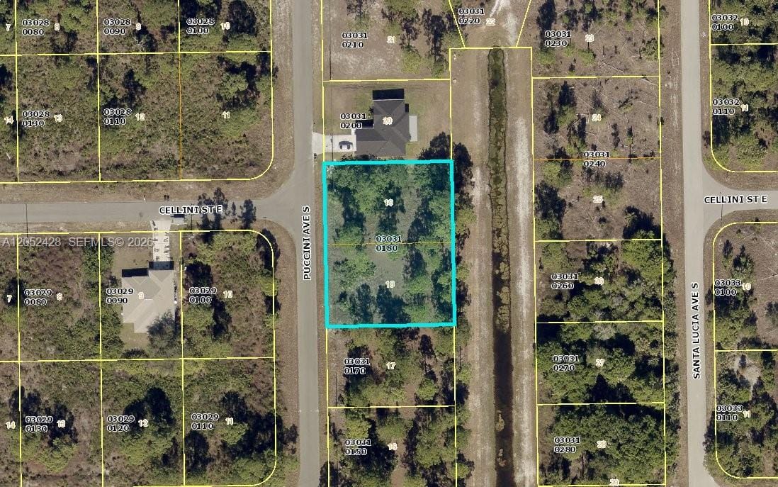 809 S Puccini Avenue S, Lehigh Acres, FL 33974