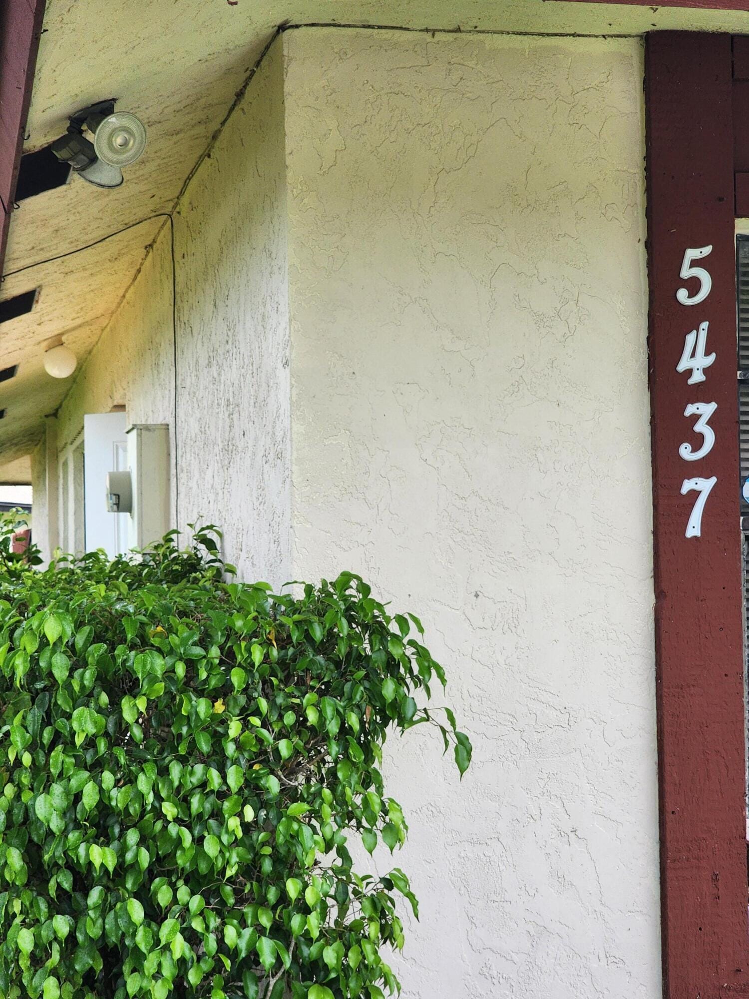 5437 Bonky Court