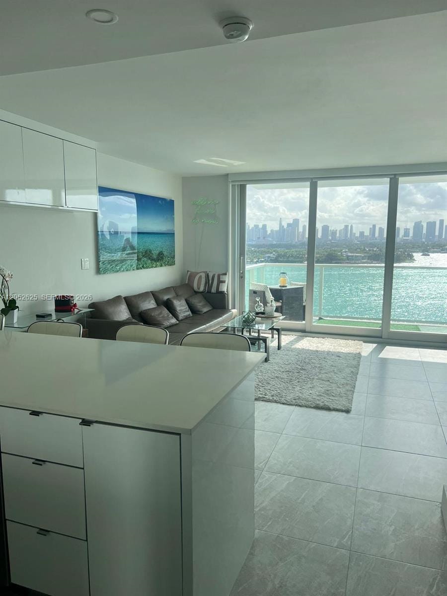 1000 West Avenue 1419, Miami Beach, FL 33139 photo 10