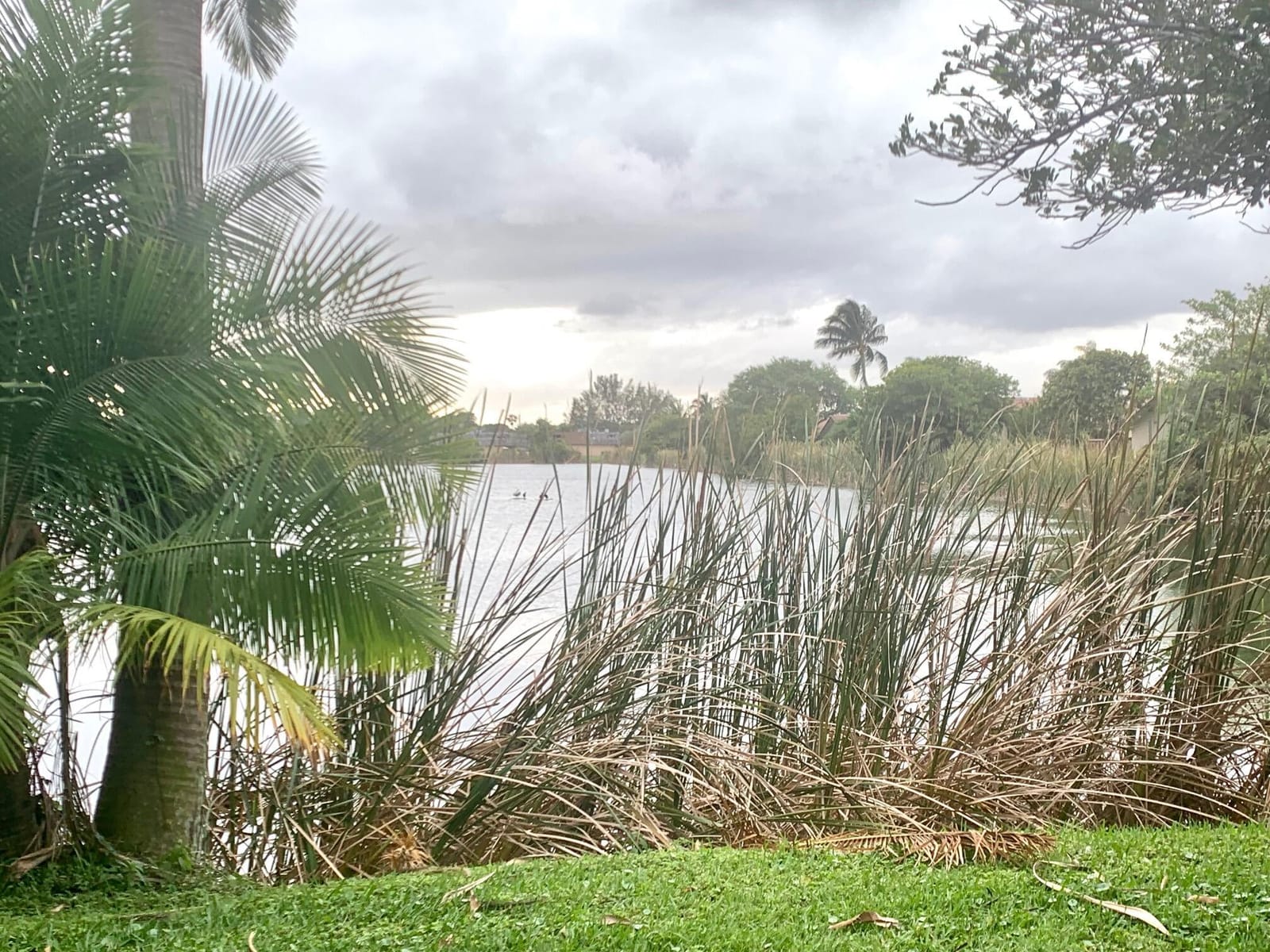 3104 Waterview Circle, Palm Springs, FL 33461 photo 14