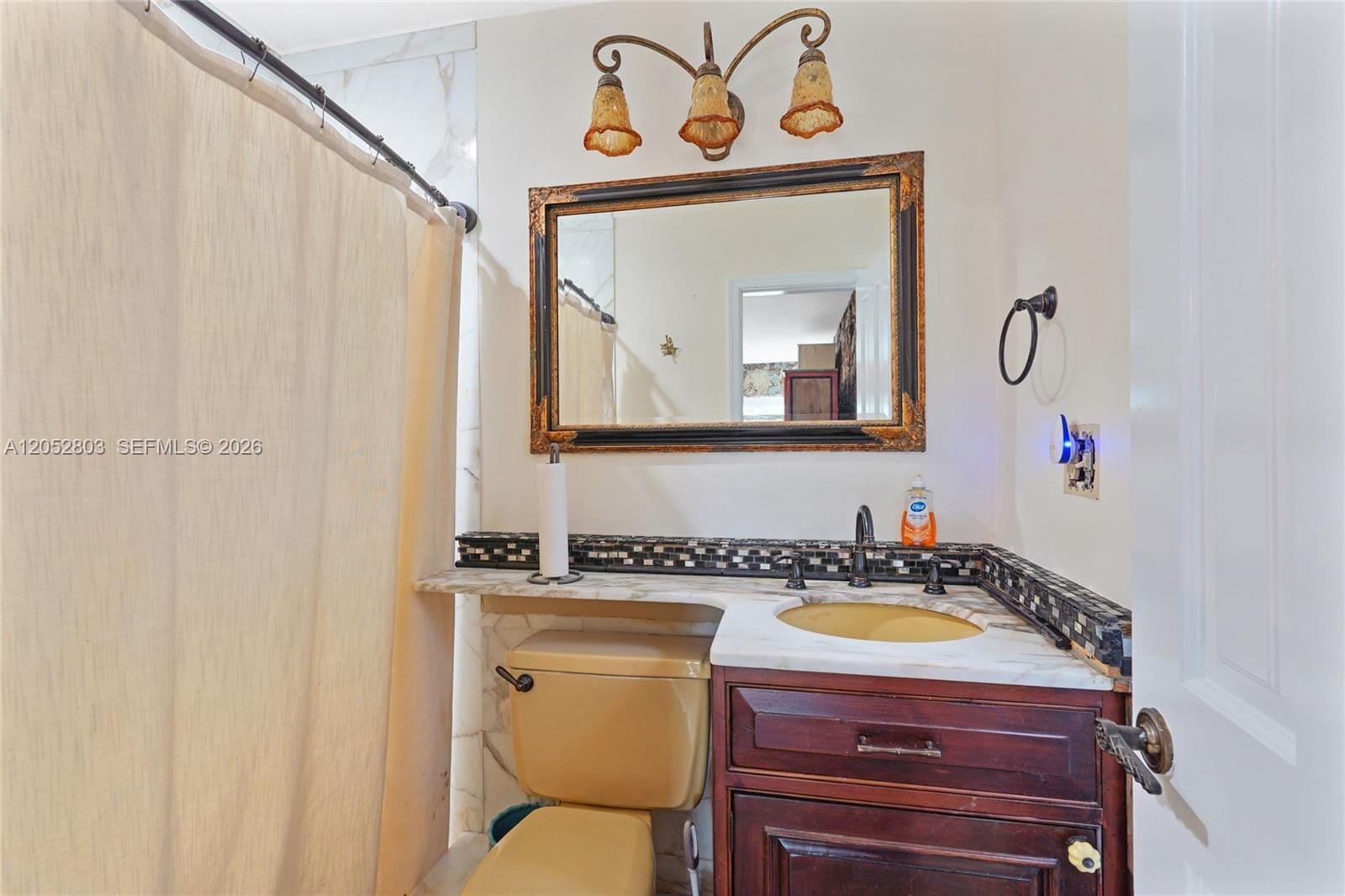 8541 N Lake Dasha Drive, Plantation, FL 33324 photo 20