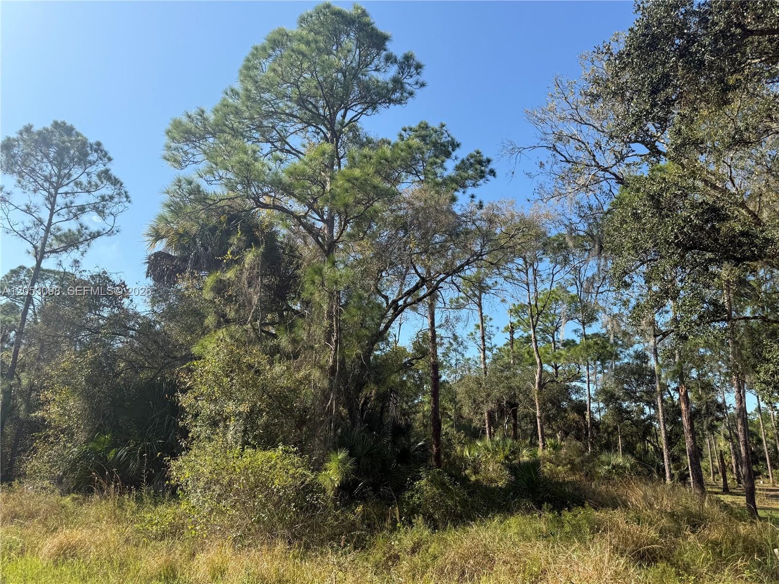740 S Lindero Street, Clewiston, FL 33440 photo 2