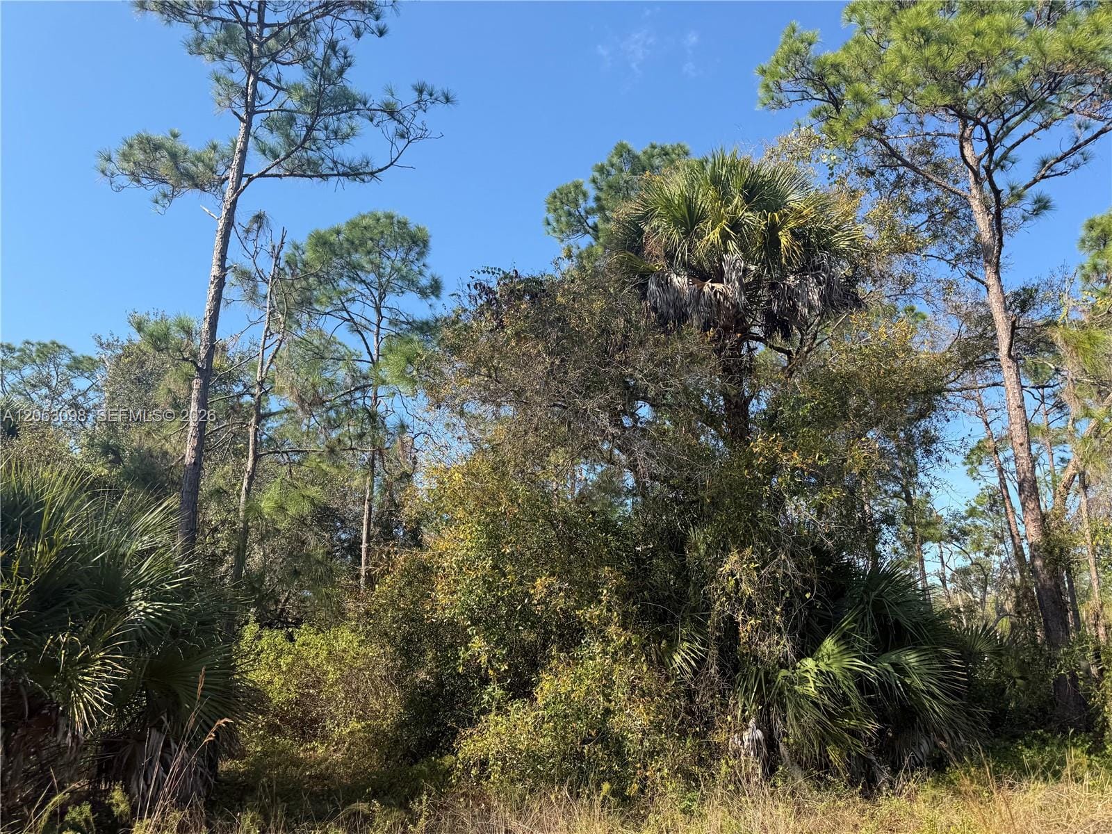 740 S Lindero Street, Clewiston, FL 33440 photo 3