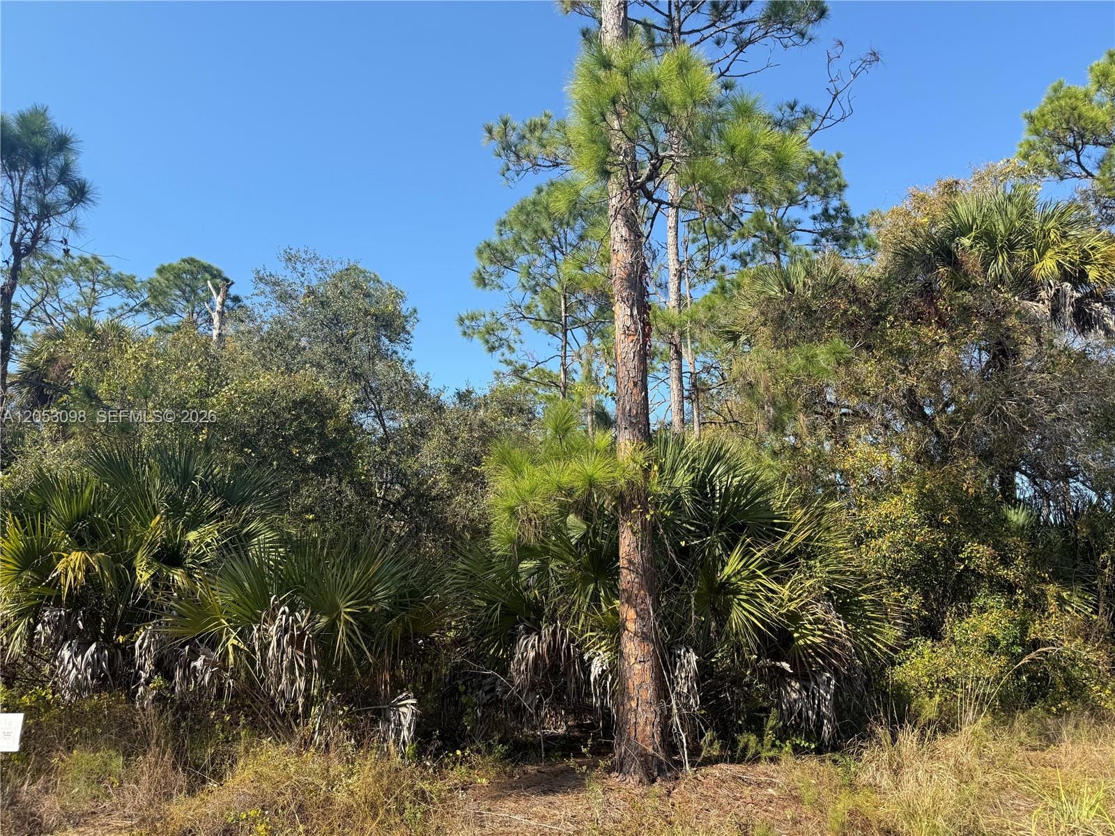 740 S Lindero Street, Clewiston, FL 33440 photo 4