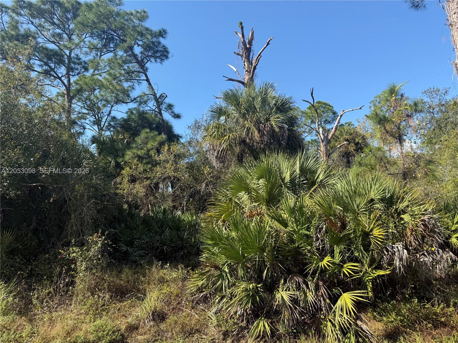740 S Lindero Street, Clewiston, FL 33440 photo 6