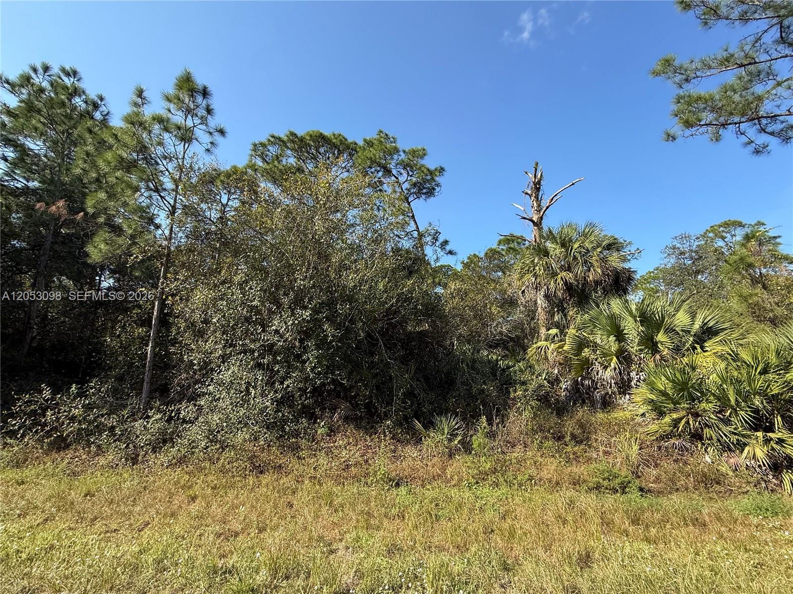 740 S Lindero Street, Clewiston, FL 33440 photo 7