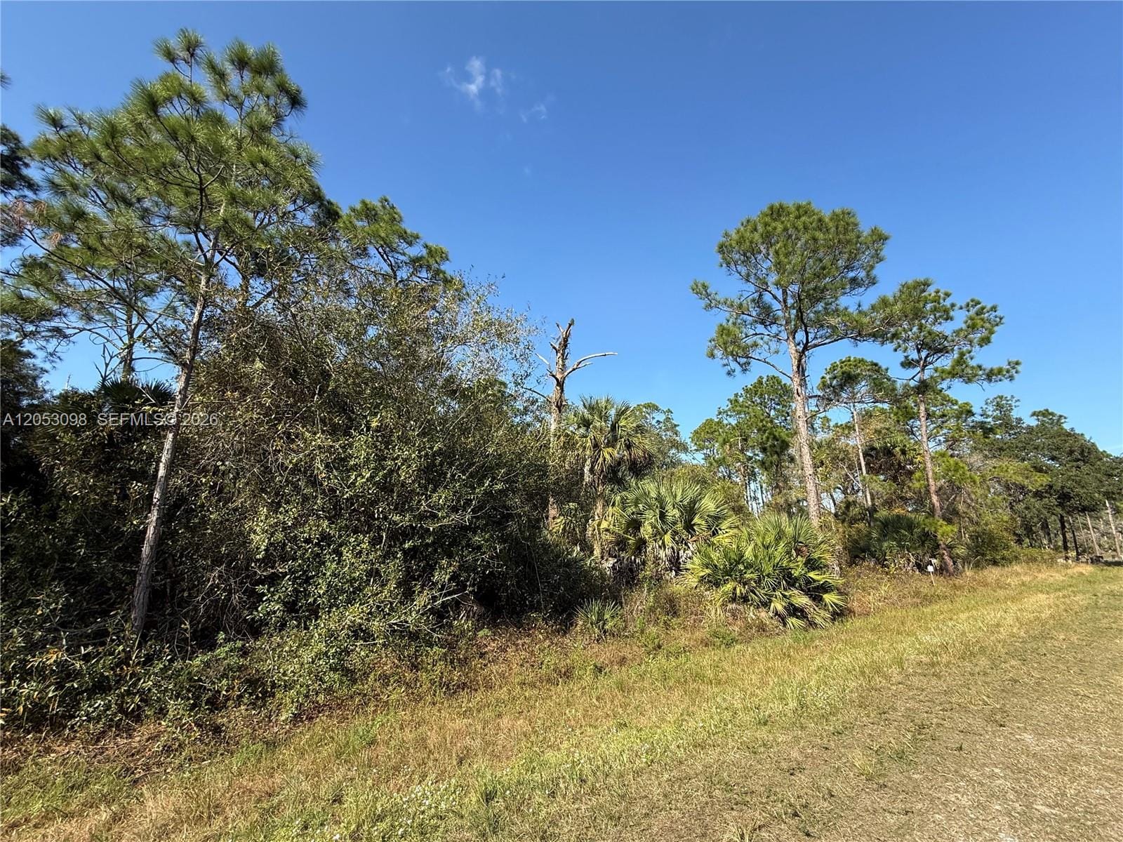 740 S Lindero Street, Clewiston, FL 33440 photo 8
