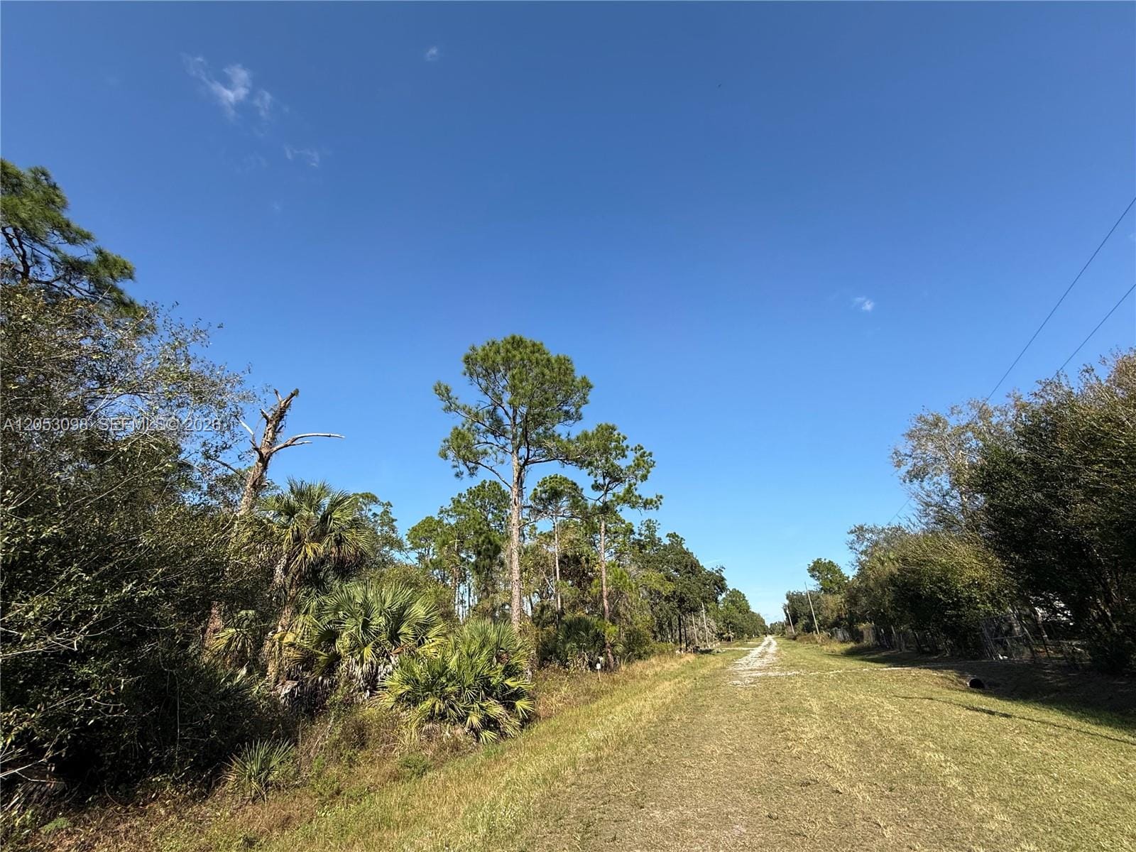 740 S Lindero Street, Clewiston, FL 33440 photo 9