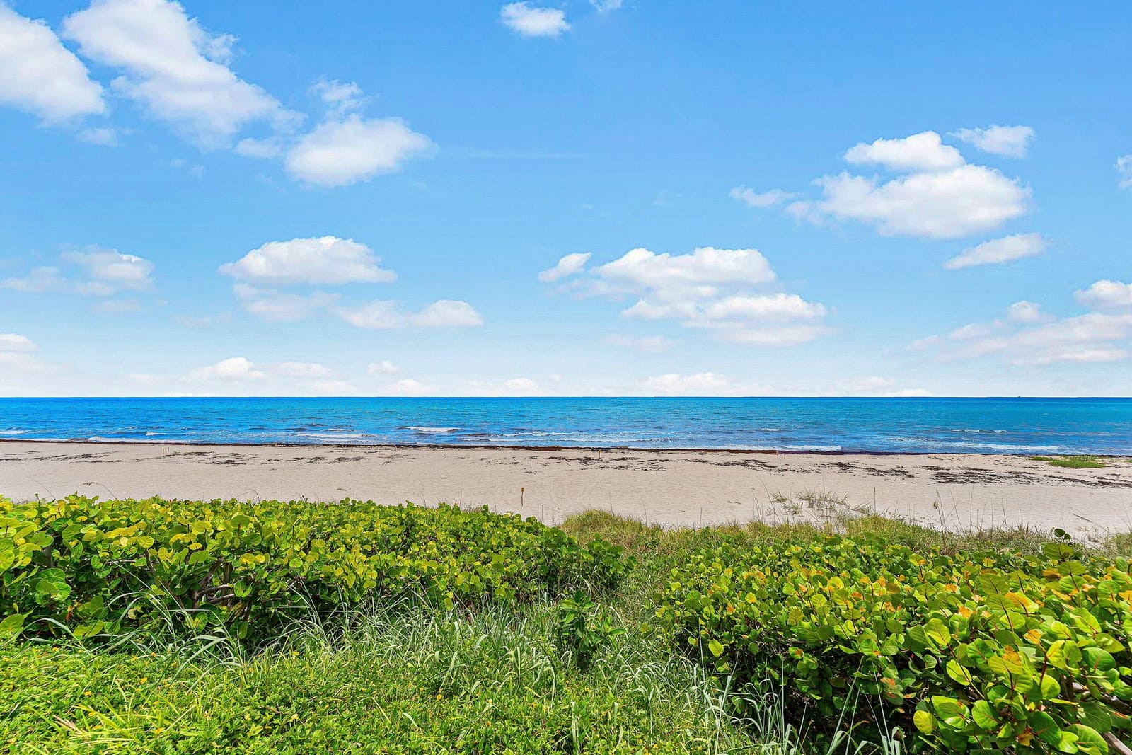 3851 N Ocean Boulevard N 403, Gulf Stream, FL 33483 photo 7