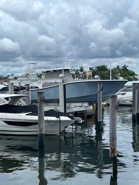 4 Grove Isle Drive, Coconut Grove, FL 33133 photo 14