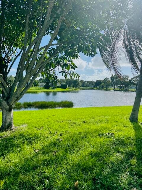 19 W Caribbean — photo 6