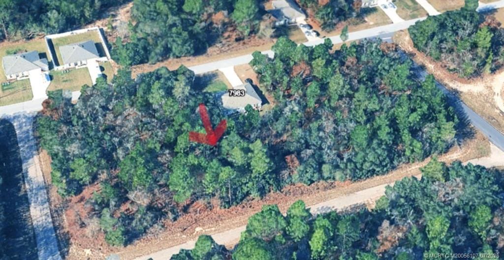 7970 N Bahama Terrace, Dunnellon, FL 34433 photo 1