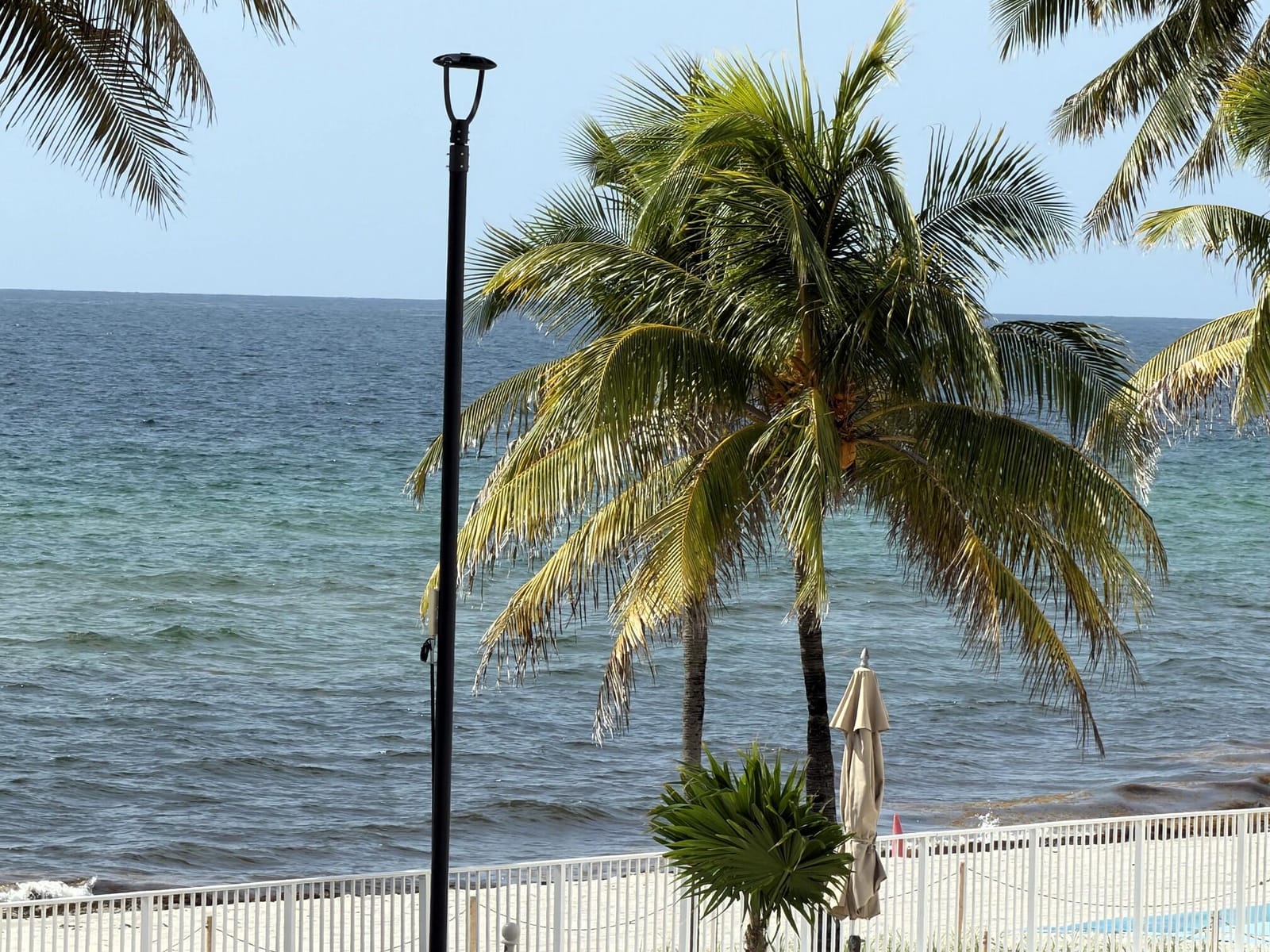 2101 S Ocean Drive 505 — photo 4