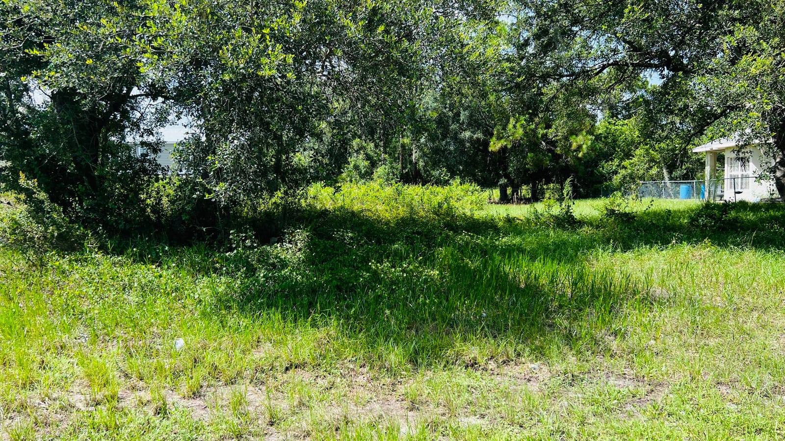 3147 MILLER Avenue, Lake Placid, FL 33852
