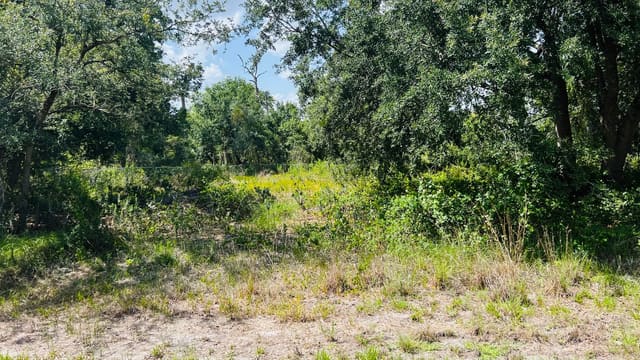 3155 MILLER Avenue, Leisure Lakes, Lake Placid, FL