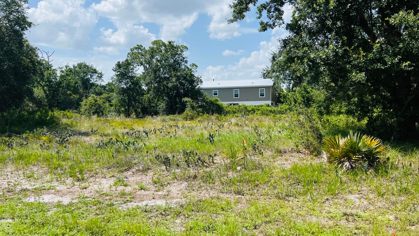 3151 MILLER Avenue, Lake Placid, FL 33852