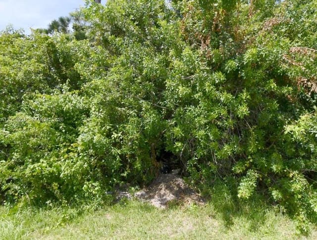 1241 SW Idol, Port St. Lucie, FL 34953