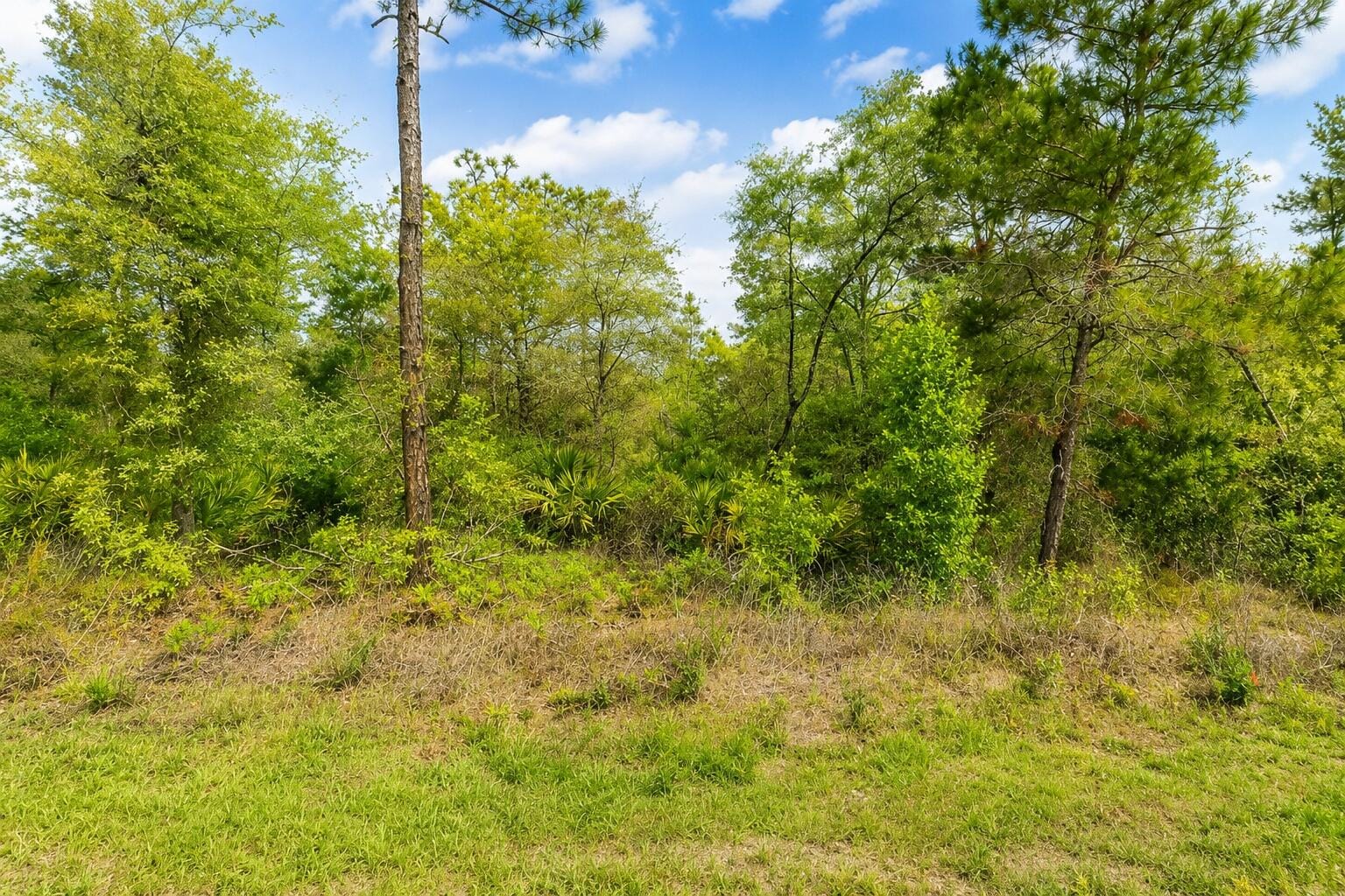 3075 W BEDFORD Lane, Dunnellon, FL 34433