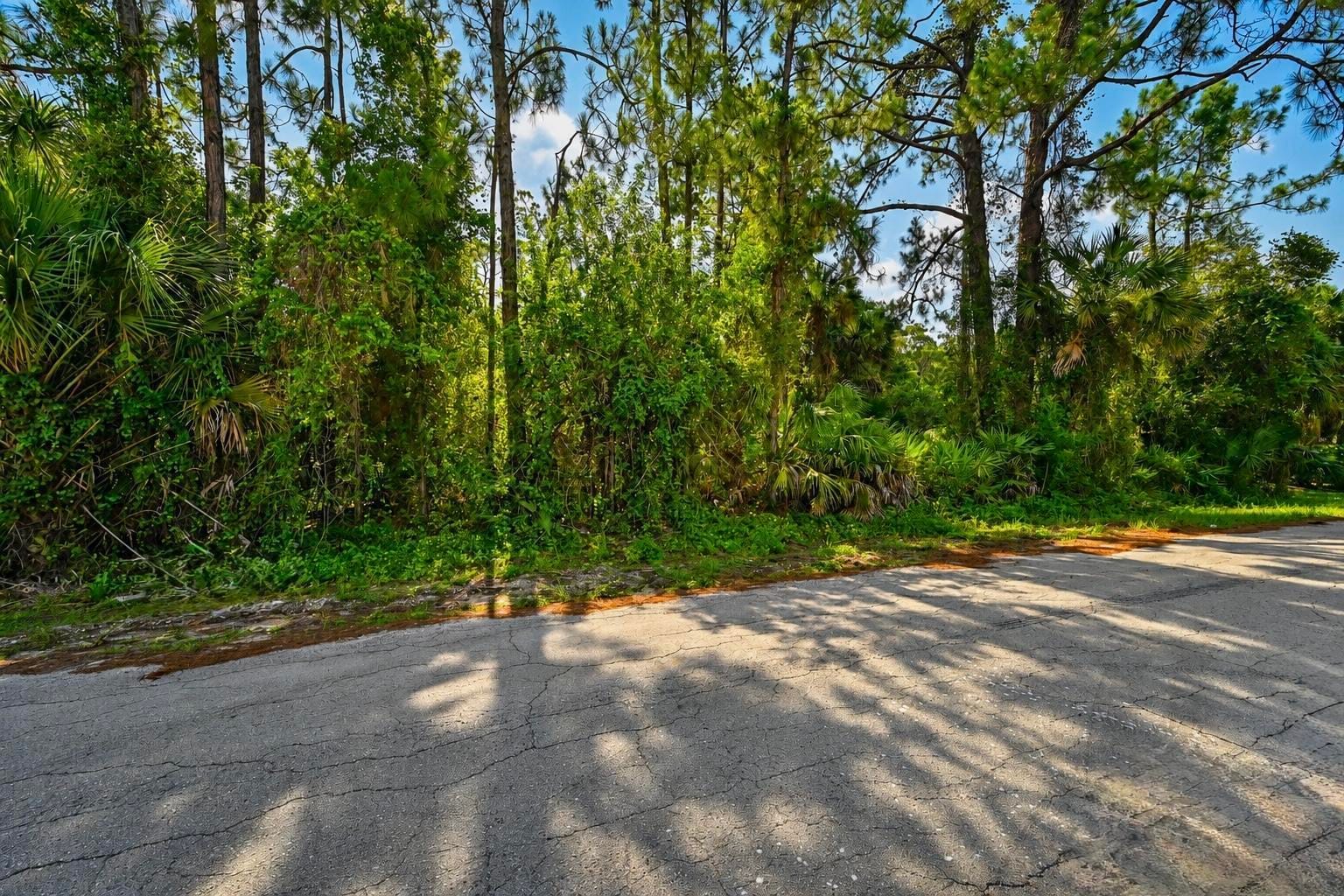 2303 Monroe Avenue, Alva, FL 33920 photo 21