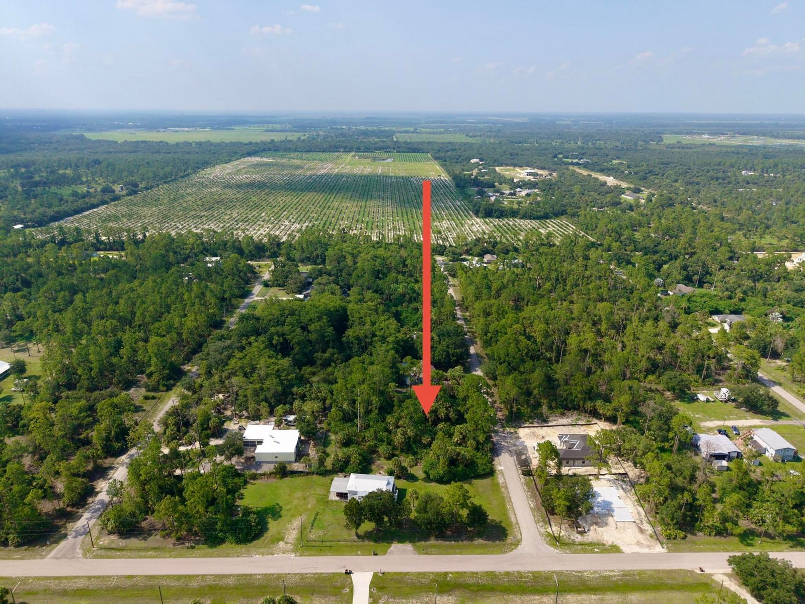 2303 Monroe Avenue, Alva, FL 33920 photo 9