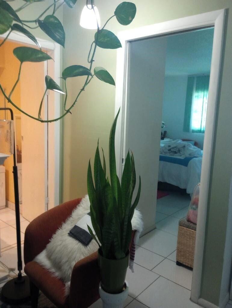 1250 E SAMPLE Road 307, Pompano Beach, FL 33064 photo 2