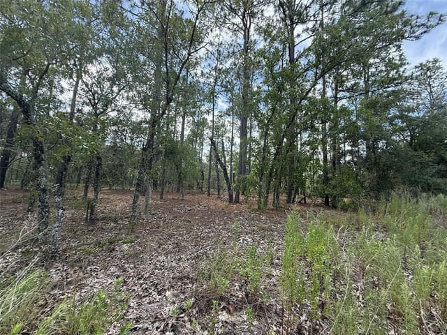 Tbd NW Tree Top Road, Rainbow Lakes Estate, Dunnellon, FL