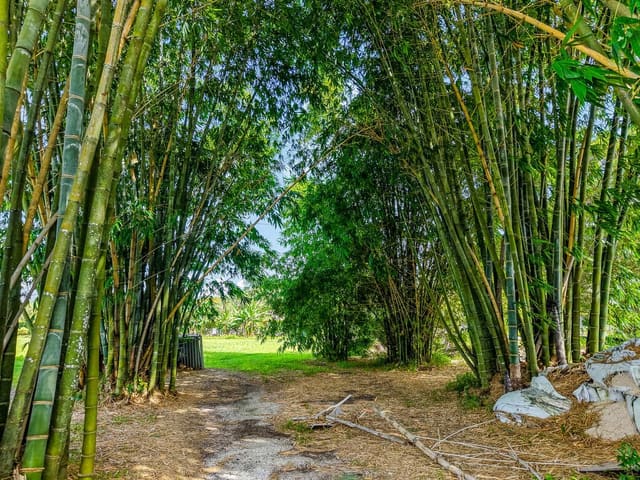 6250 SW 180TH Terrace, Southwest Ranches, FL 33331