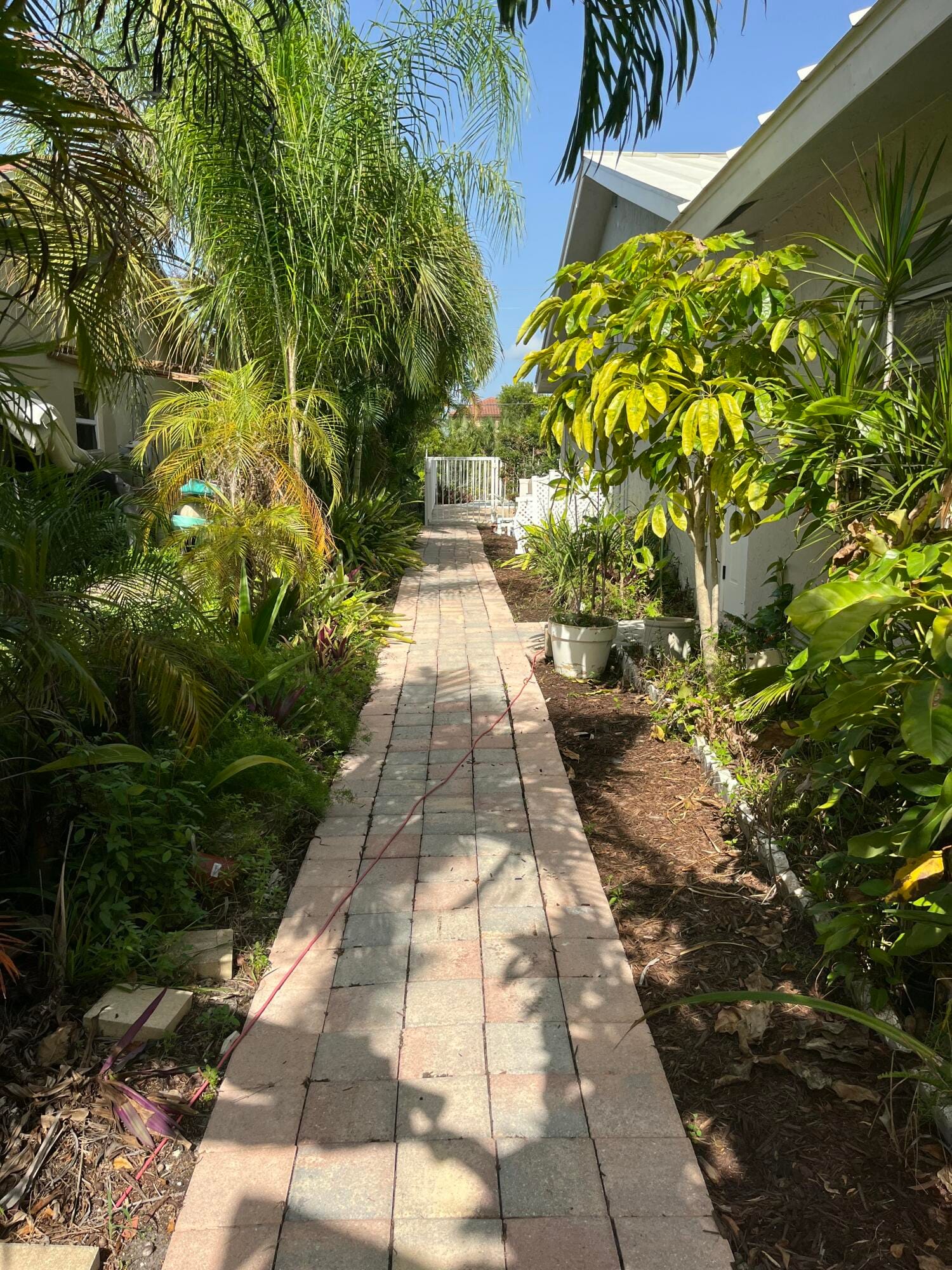 4804 MANGO Drive — photo 2