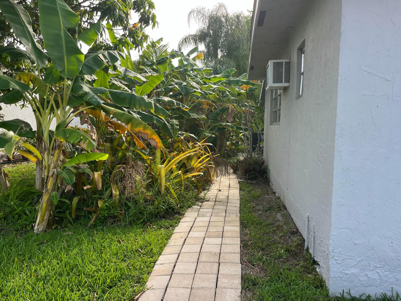 4804 MANGO Drive — photo 12