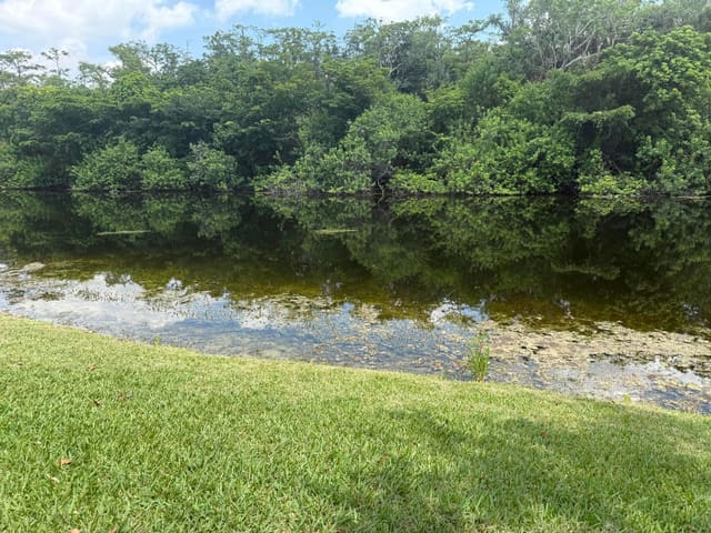 2671 Carambola Circle N 1755, Coconut Creek, FL 33066