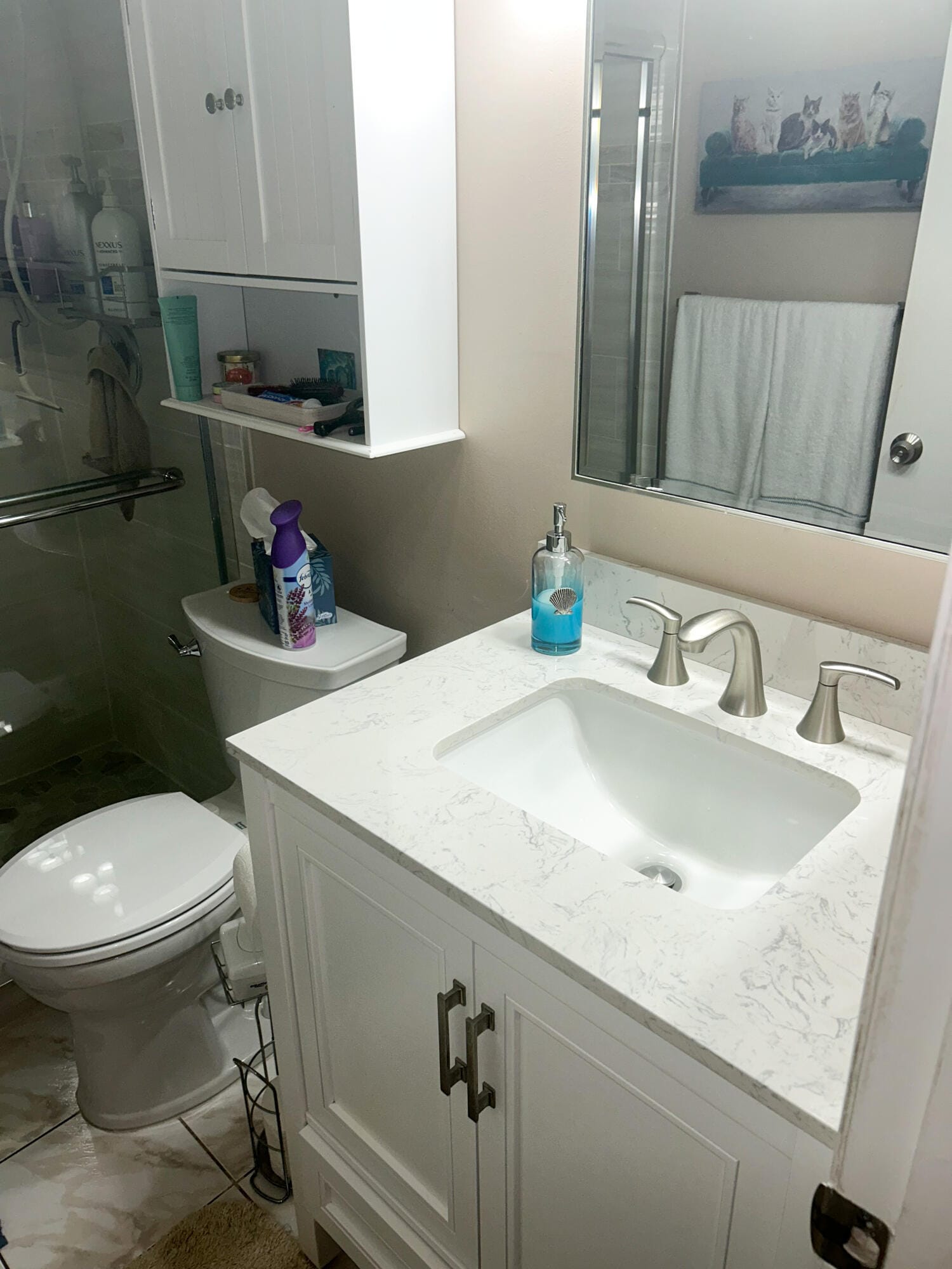 824 Sky Pine Way C1, Greenacres, FL 33415 photo 27