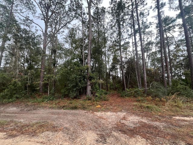 Tbd susan Street, Interlachen, FL 32148