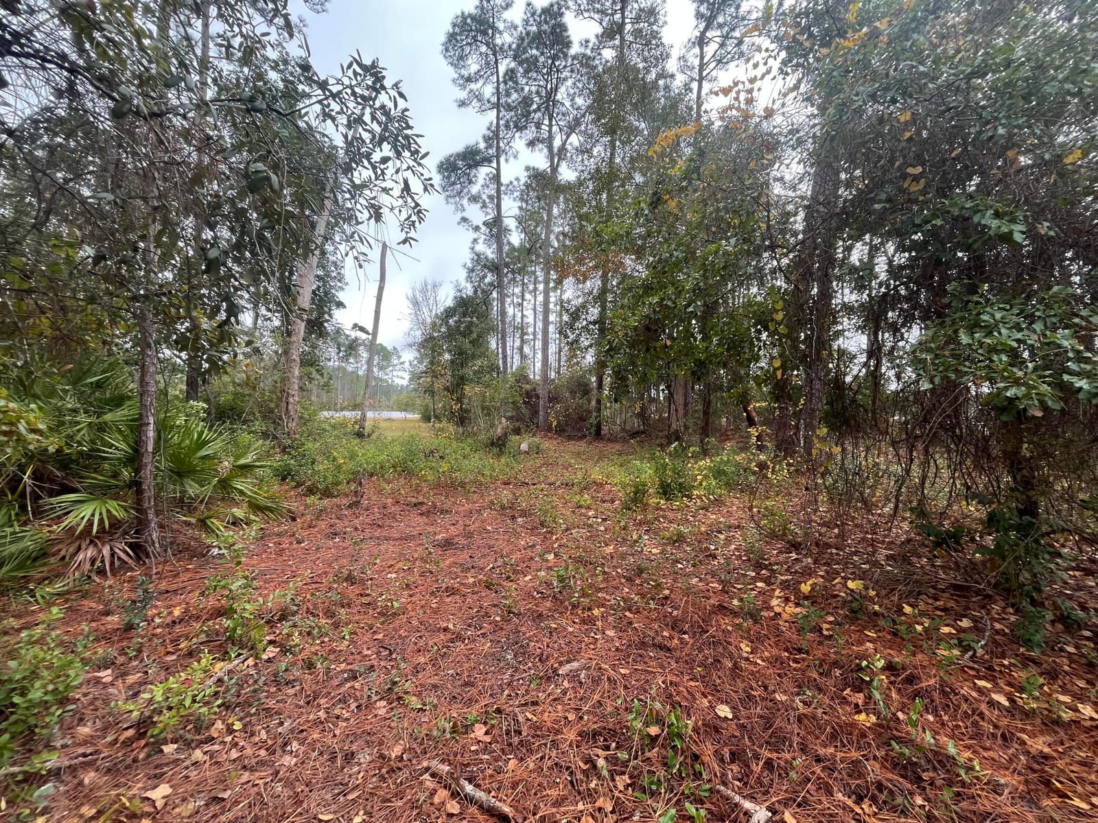 Tbd susan Street, Interlachen, FL 32148 photo 2