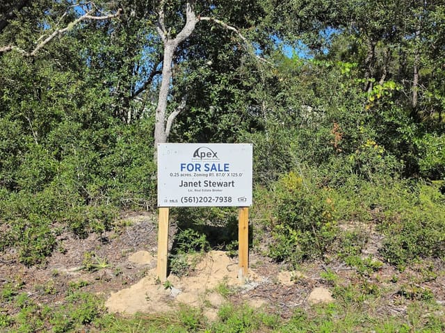 Lot 10 Malauka Circle, Ocklawaha, FL 32179