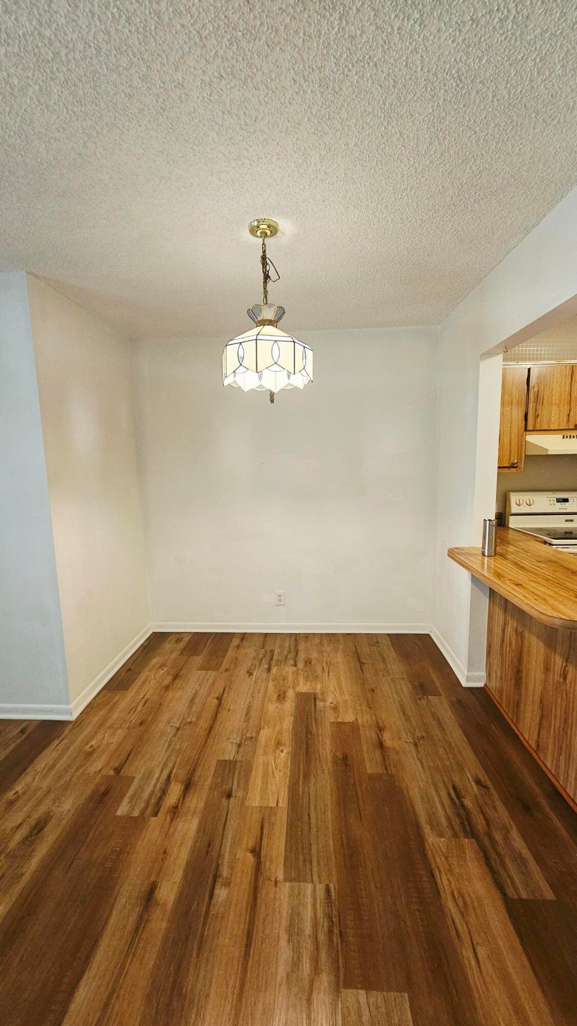 4807 SABLE PINE Circle B1 — photo 5