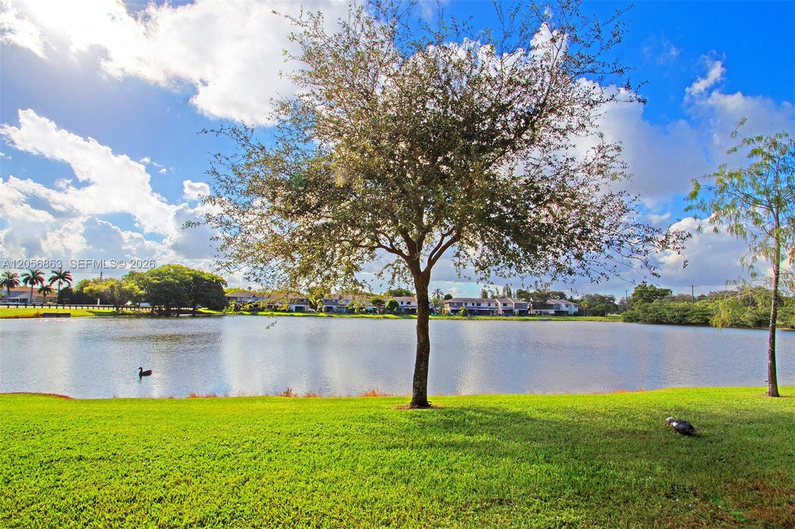 1000 NW 106th Terrace 101, Pembroke Pines, FL 33026 photo 8
