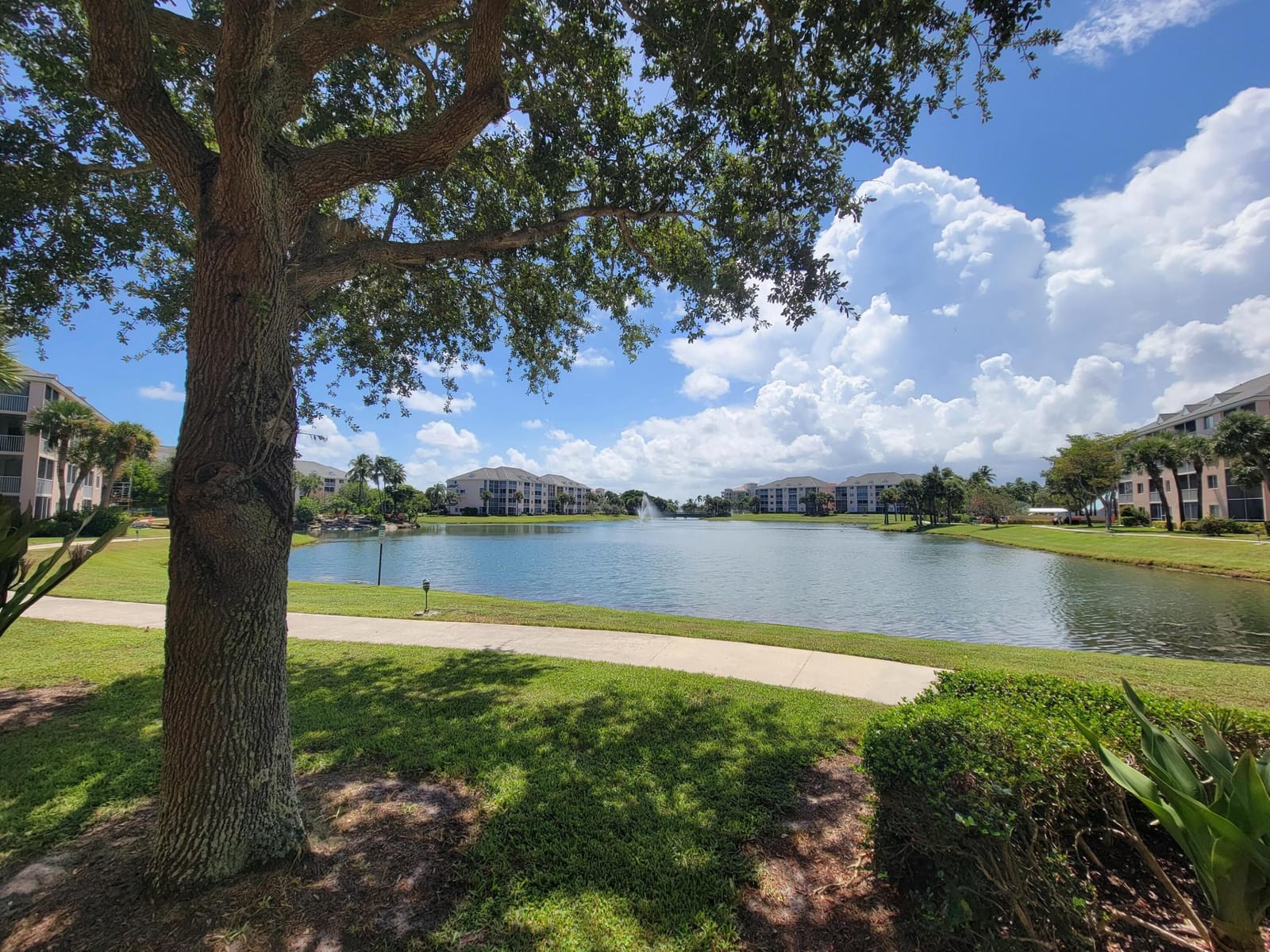 353 S Us Highway 1 B207, Jupiter, FL 33477 photo 17