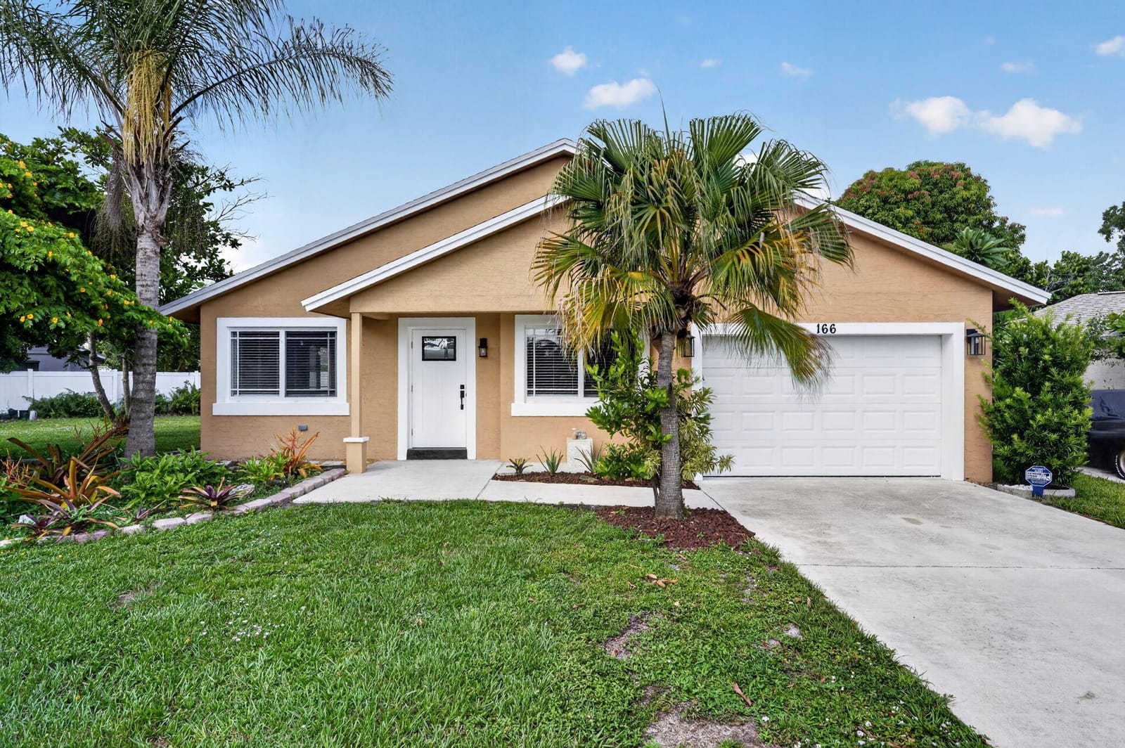166 RAINTREE