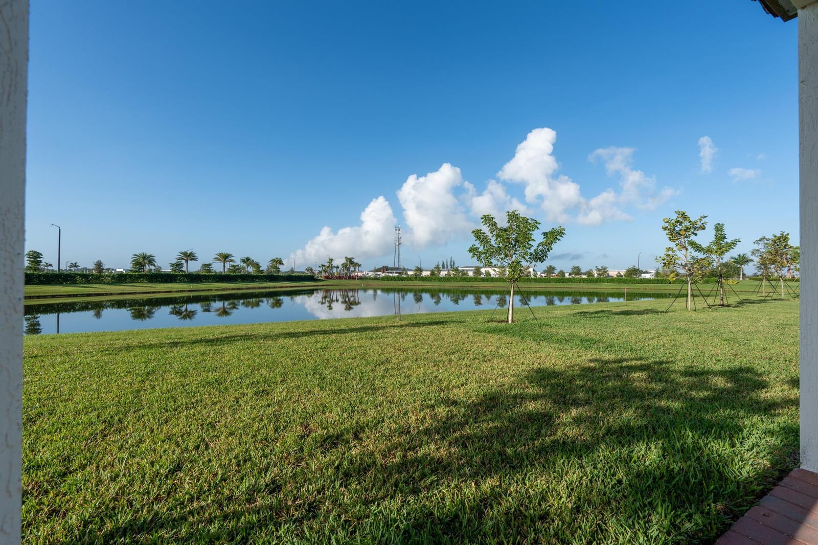16462 Sea Turtle Place — photo 3