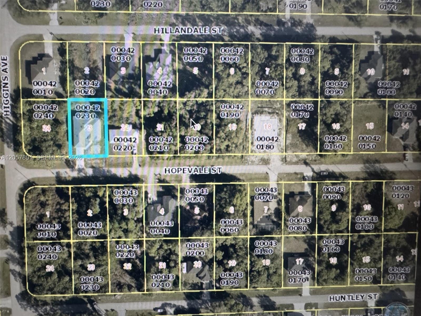3852 Hopevale Street, Fort Myers, FL 33905 photo 27
