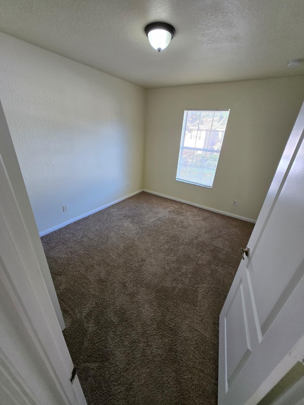 4701 Cohune Palm Court — photo 11