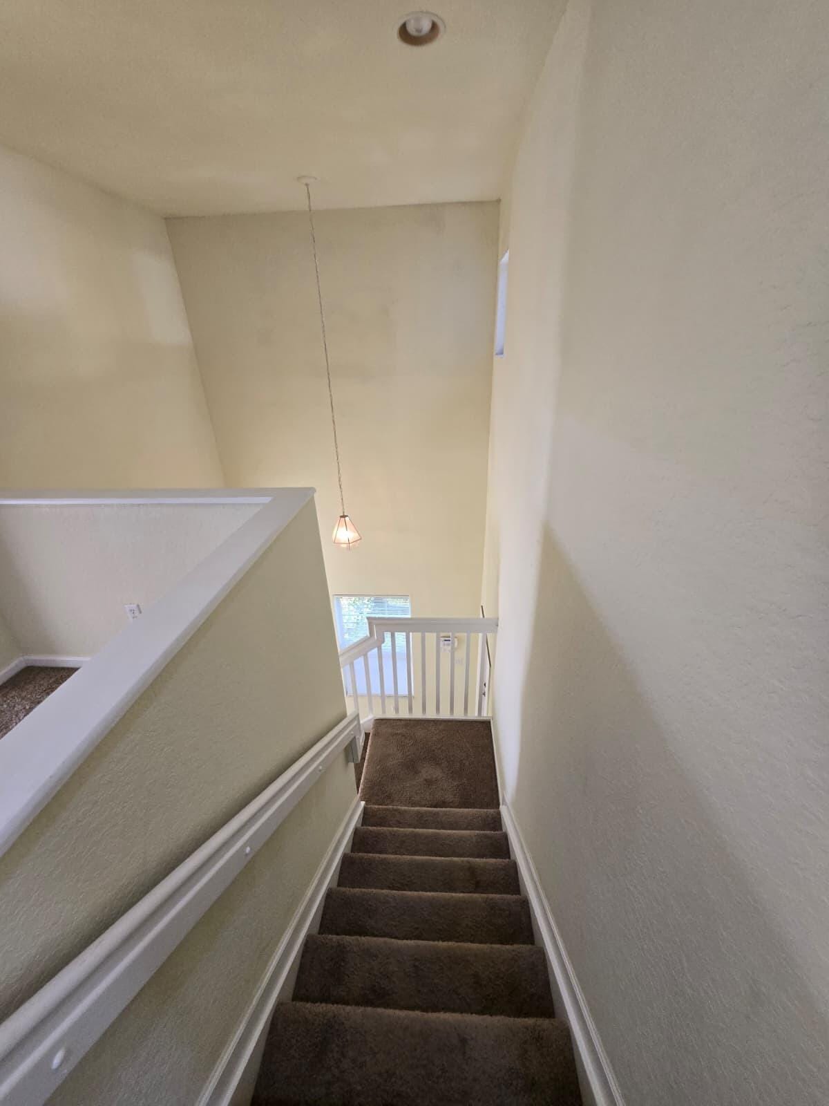 4701 Cohune Palm Court — photo 7