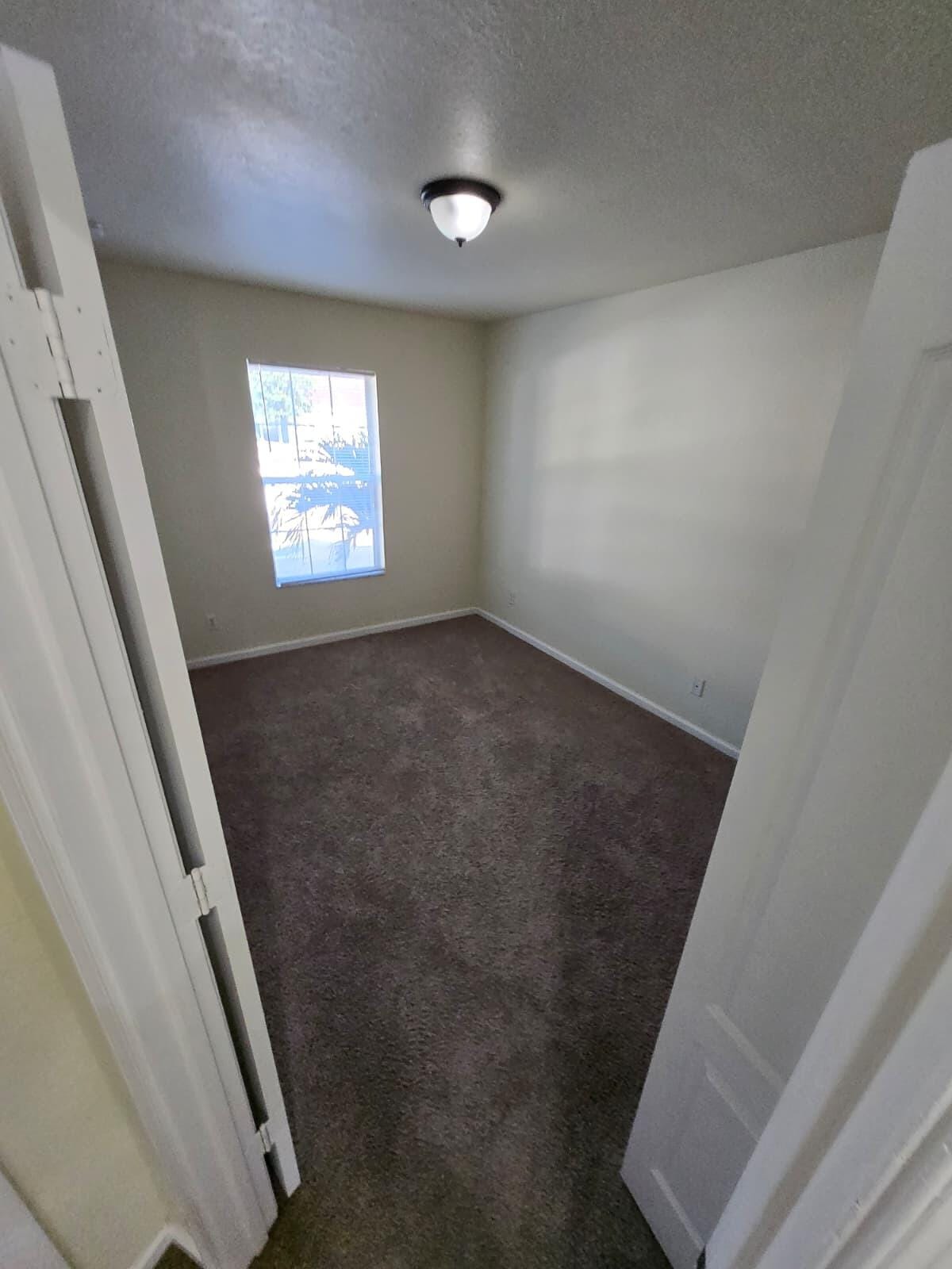4701 Cohune Palm Court — photo 8