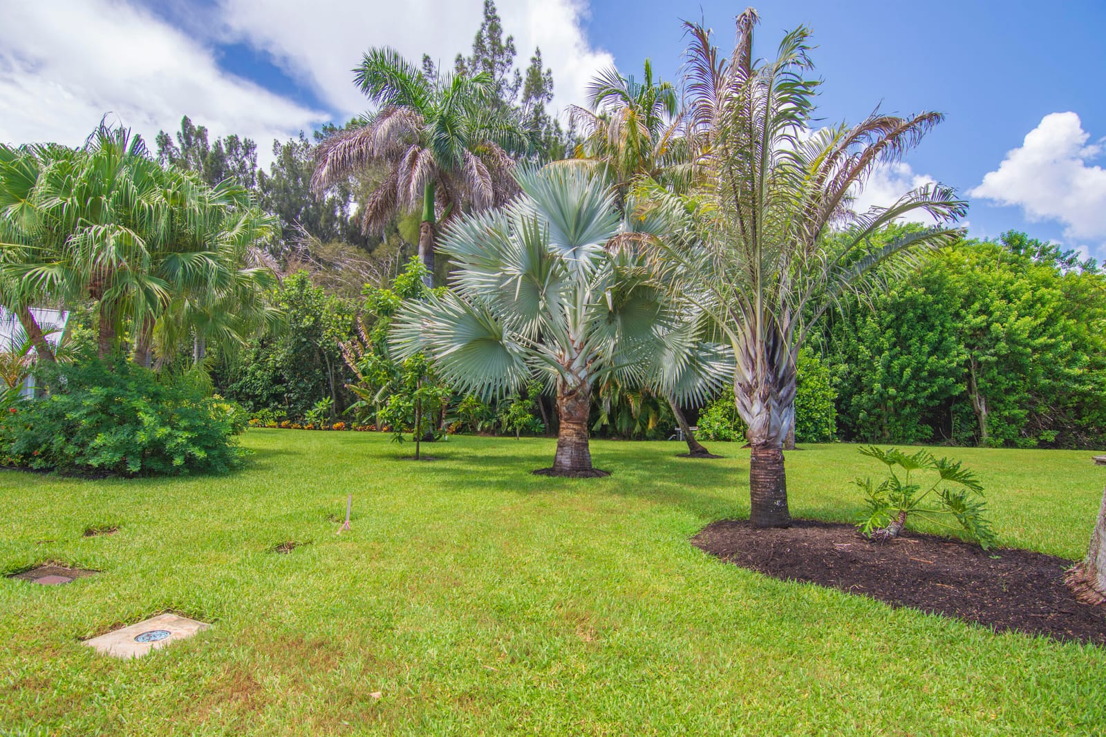 320 W FOREST Trail, Vero Beach, FL 32962 photo 11