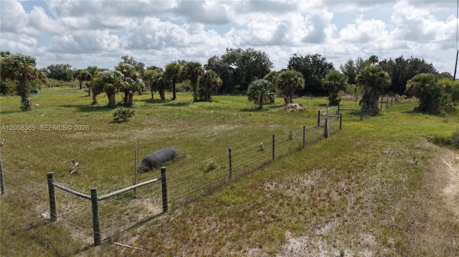 14773 NW 280th, Okeechobee, FL 34972 photo 17