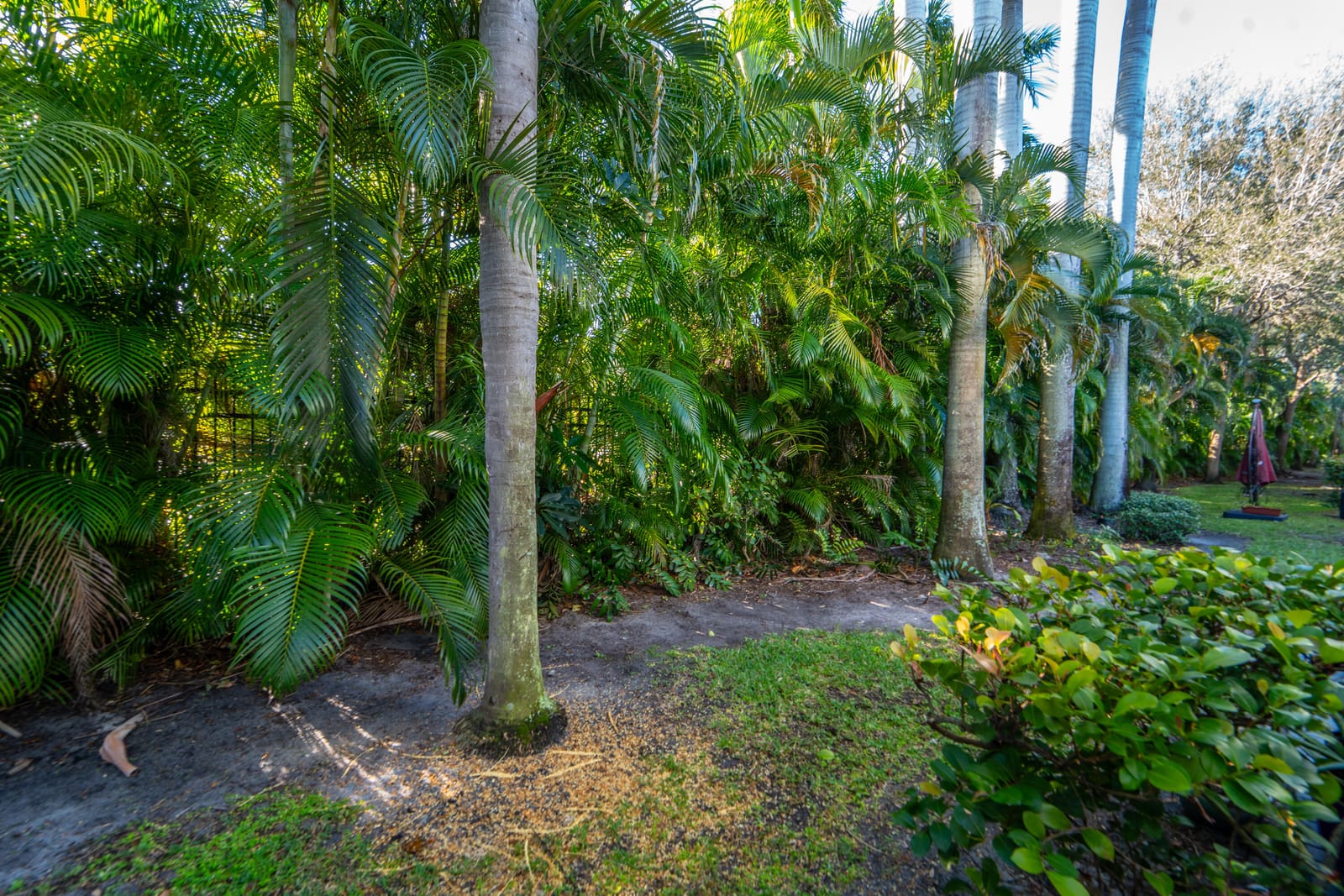 3635 Sonoma Drive, Riviera Beach, FL 33404 photo 15